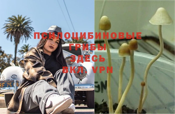 кокаин премиум Заволжск